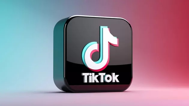 tiktok penny challenge