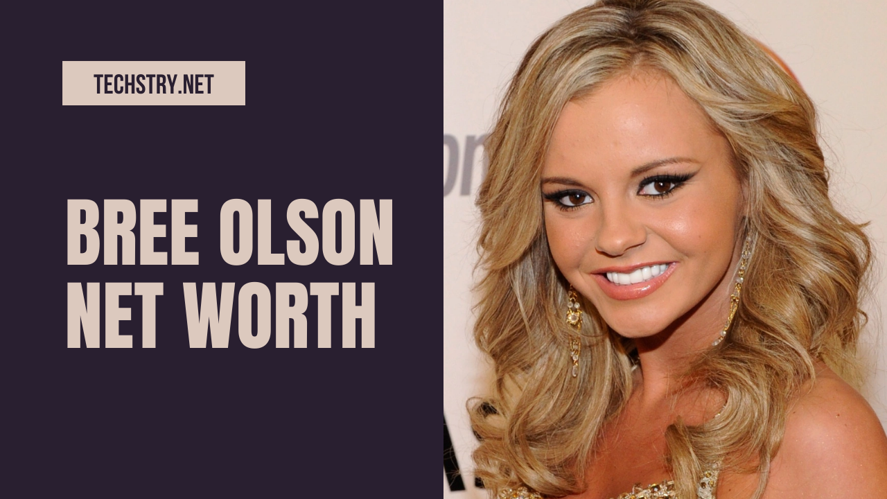 bree olson net worth