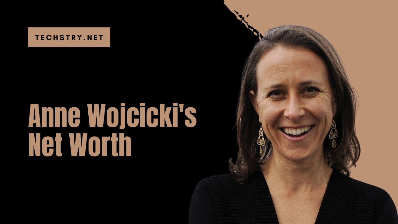 anne wojcicki net worth