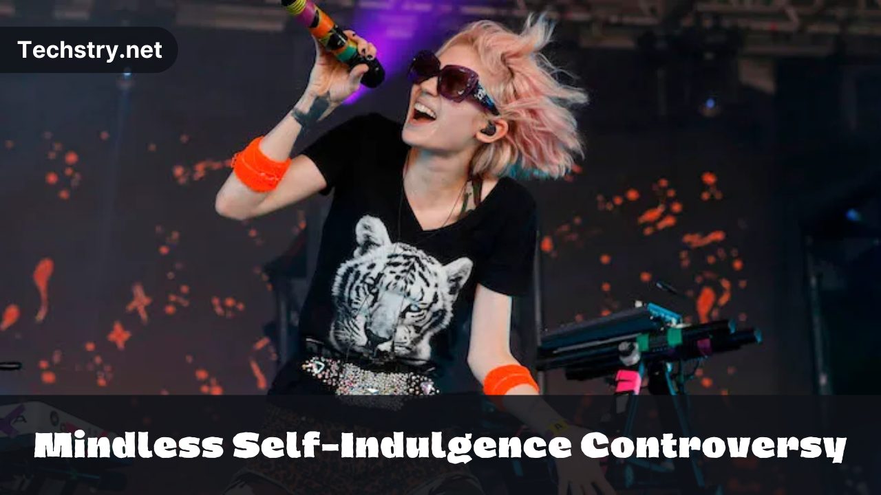 mindless self indulgence controversy