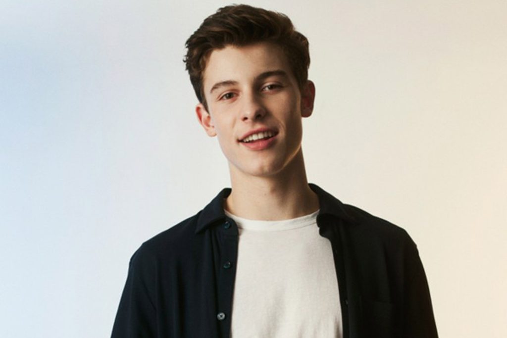 shawn mendes net worth