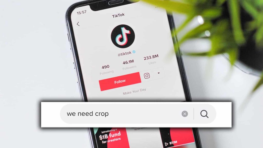 what does crop mean on tiktok