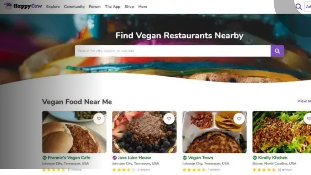 best vegan websites