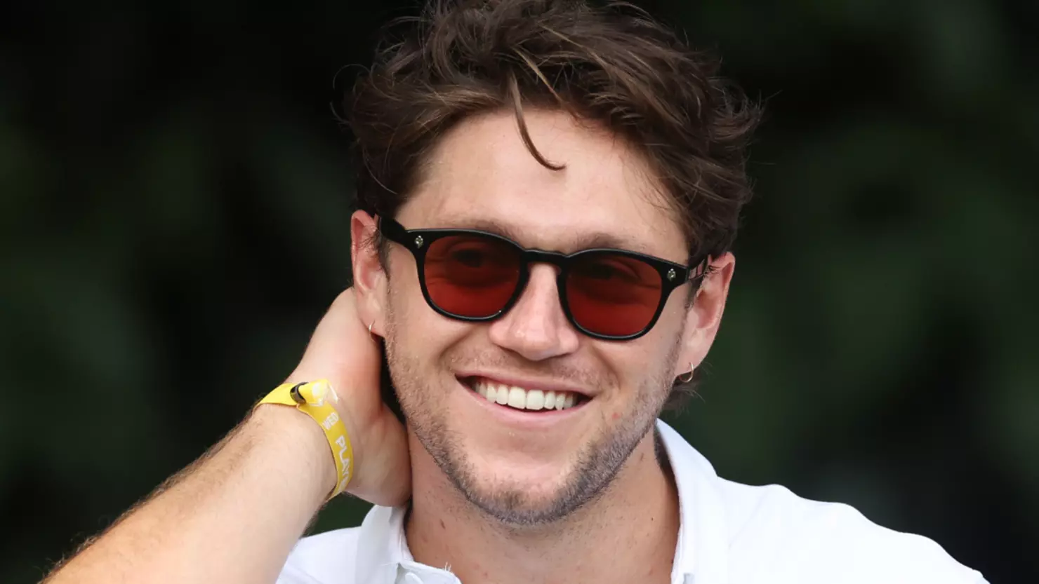 niall horan net worth