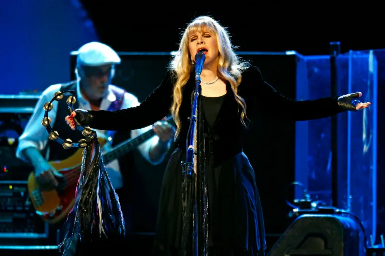 stevie nicks illness