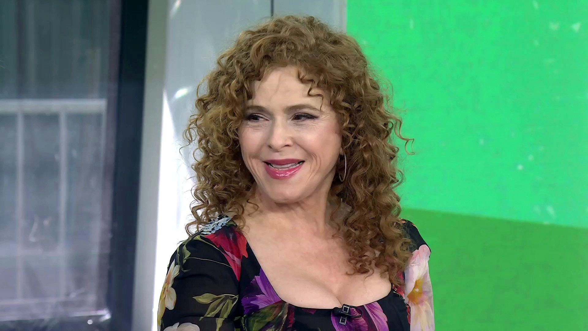 bernadette peters plastic surgery