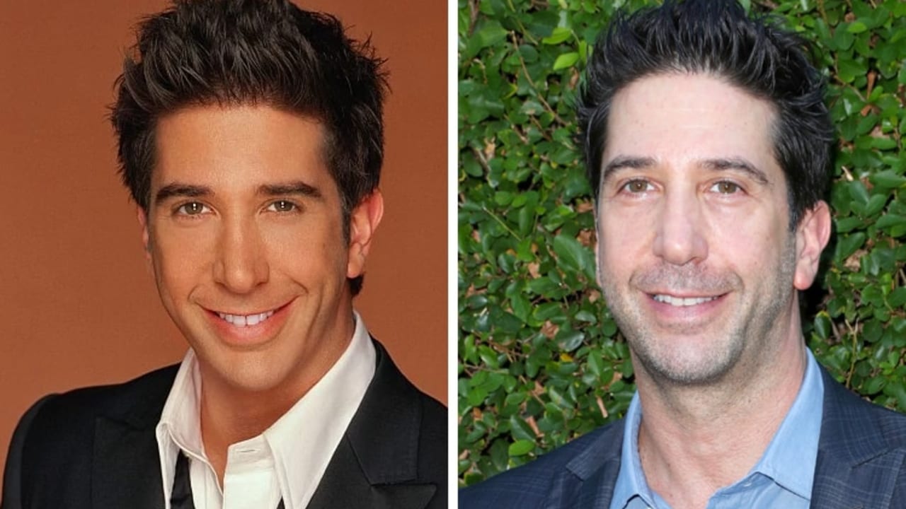 david schwimmer plastic surgery