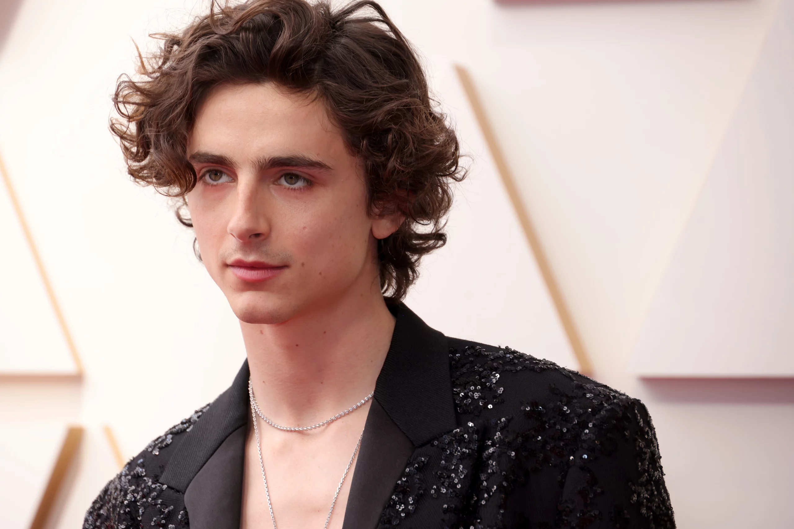 Is Timothée Chalamet Gay?