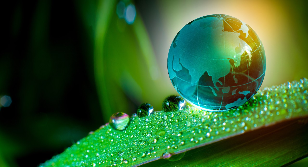 Sustainability Software: Driving Eco-Friendly Business Transformation